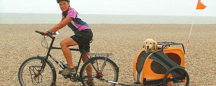 Dog cycles around Britain