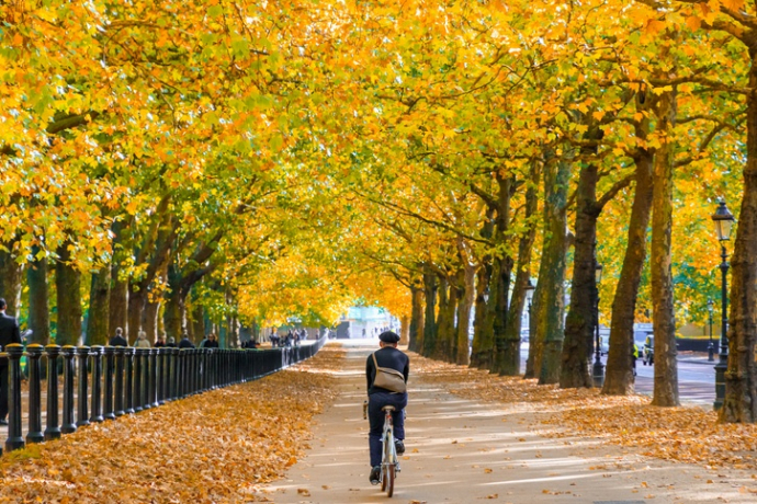 autumn cyclist